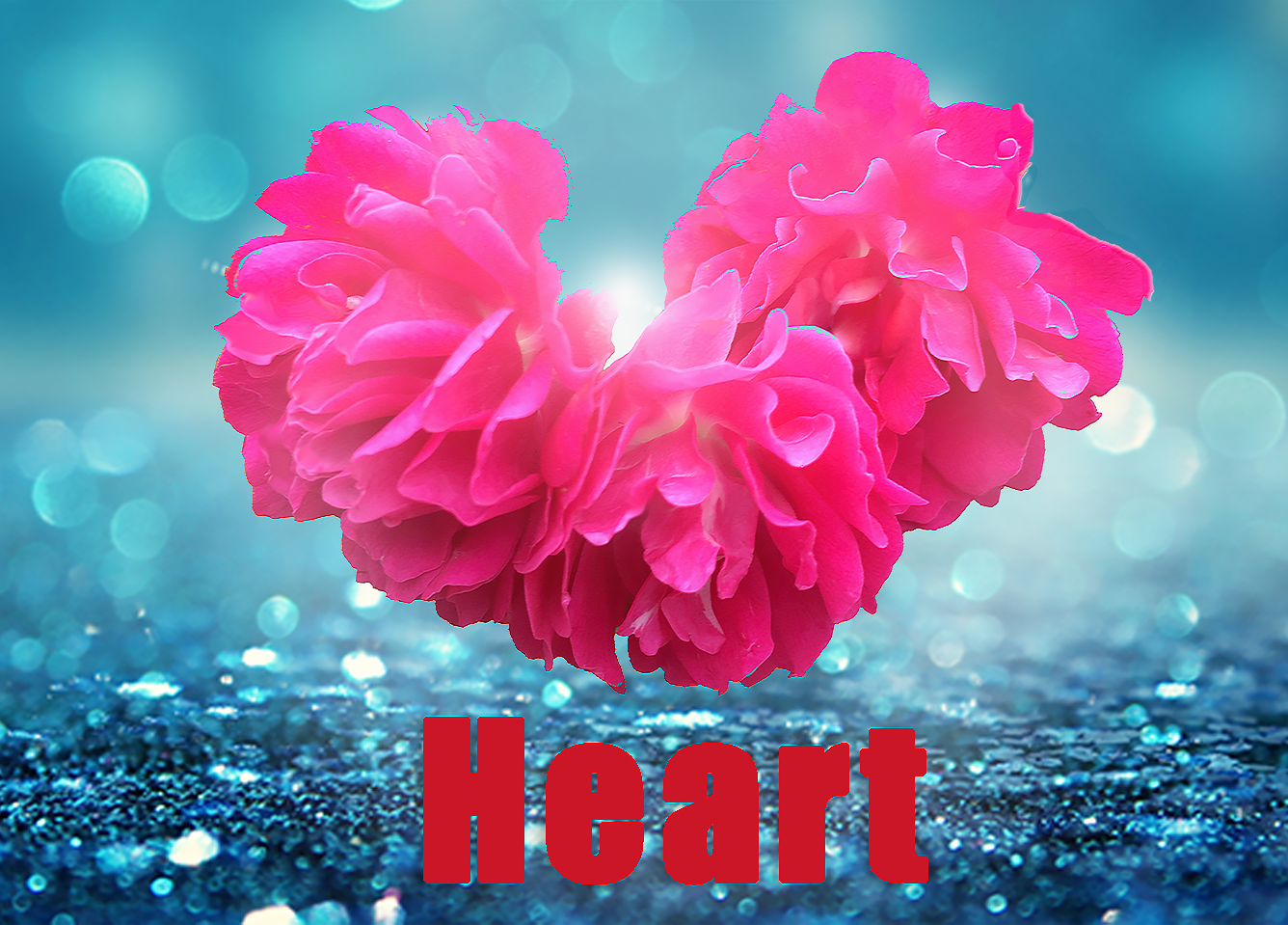 Pink Heart